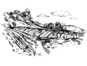 Ilustração da Quinta
