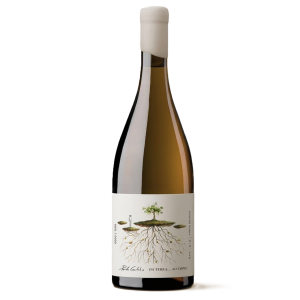 Gemini_Generated_Image_udqflyudqflyudqf